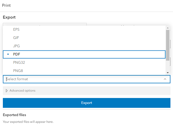 Print Format Options